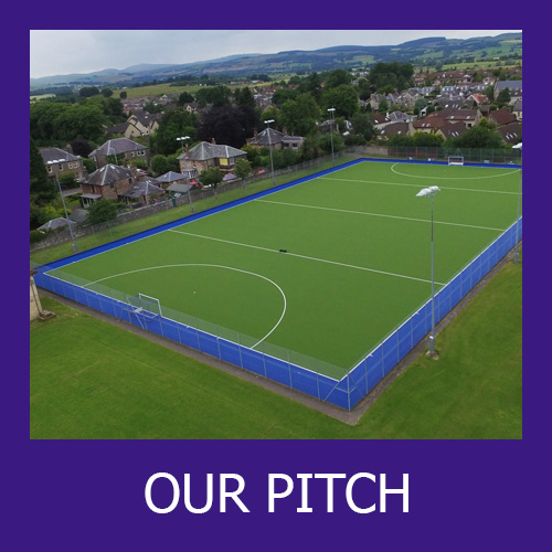 Our Pitch